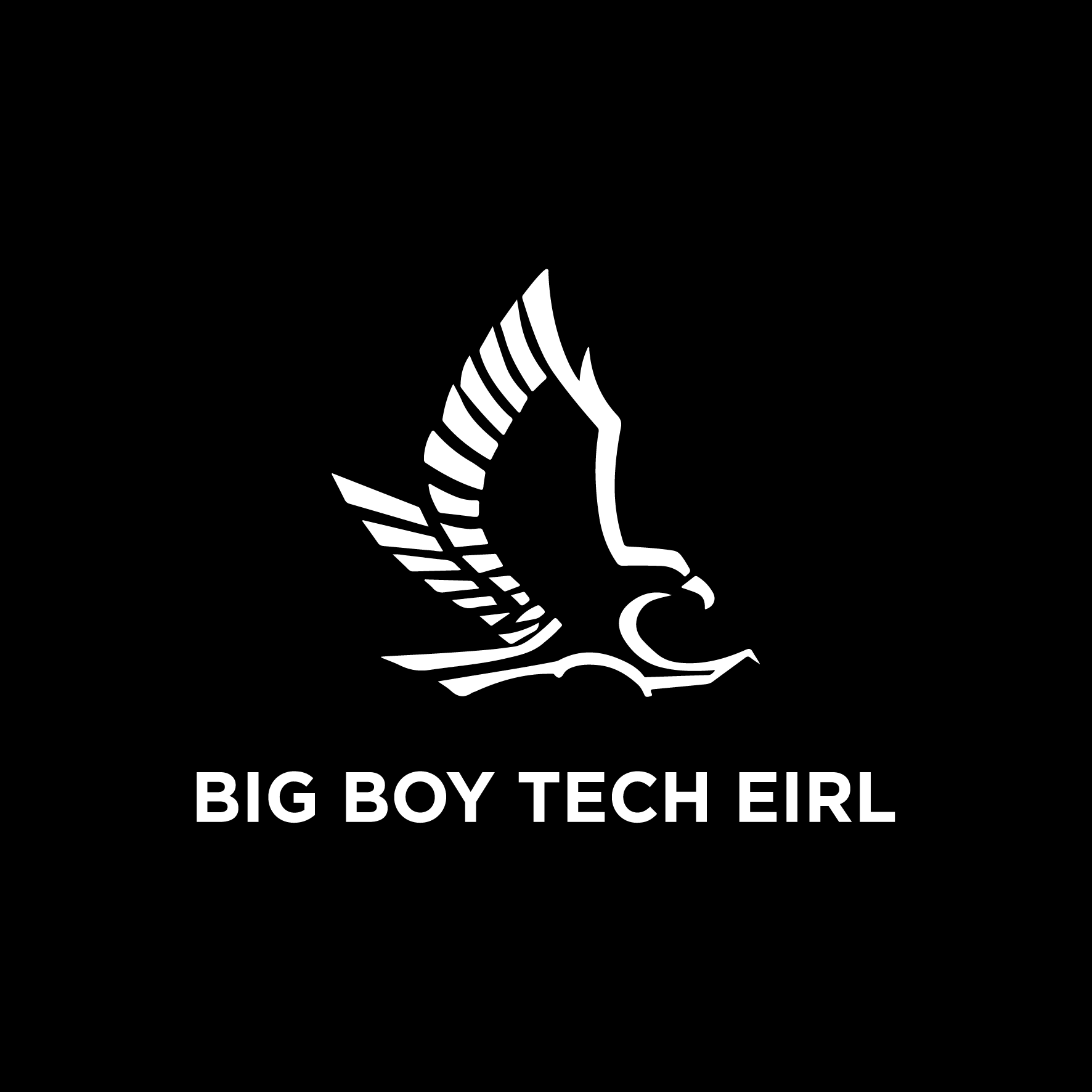 BigBoyTech EIRL Logo